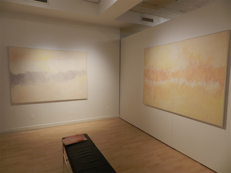 New York Artifact Gallery