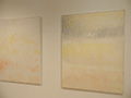 New York Artifact Gallery