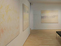 New York Artifact Gallery